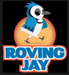 Roving Jay with Black Background