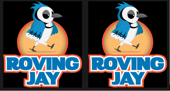 Roving Jay Image